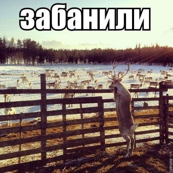 3982775_e0e6a34d686559ade553bc8a37a642eb