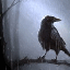 old raven