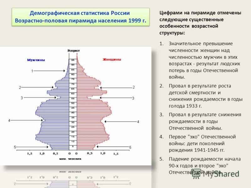 Практическая работа особенности демографической политики. Демографическая пирамида России и рождаемость. Возрастно половая пирамида РФ. Возрастно-половая пирамида населения России. Демографическая ситуация в России демографическая пирамида.