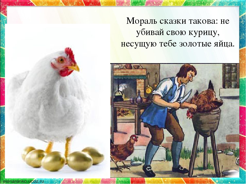 Читать здравствуй курица. Курица несущая золотые яйца болгарская сказка. Курочка несущая золотые яйца. Курица несет золотые яйца. Куры которые несут золотые яйца.